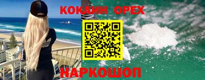 кокс Кингисепп