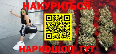 кокс Кингисепп
