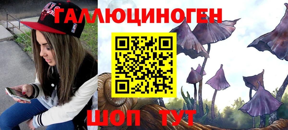 Фролово  Псилоцибиновые грибы Psilocybine cubensis  Вход с VPN  Галлюциногенные грибы Cubensis 